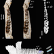 Illustration for article titled Origin Mystery of Ancient Rhino-Like Mammal Solved By 55-Million-Year-Old Fossilem/emem/em